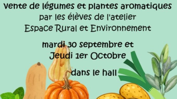 vente legumes.jpg